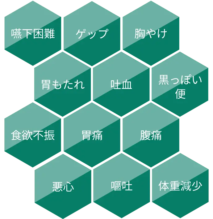 主な症状。嚥下困難、ゲップ、胸やけ、胃もたれ、吐血、黒っぽい便、食欲不振、胃痛、腹痛、悪心、嘔吐、体重減少