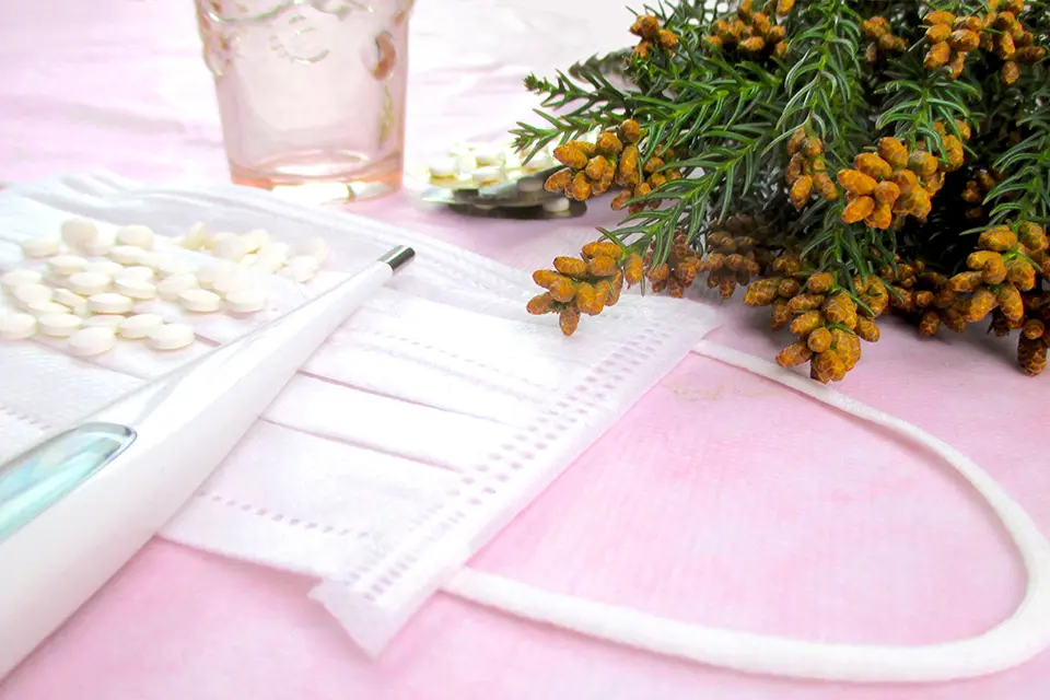 泉大津で花粉症治療、アレルギー検査をお探しの方はみゆき会救急・内視鏡クリニックへ